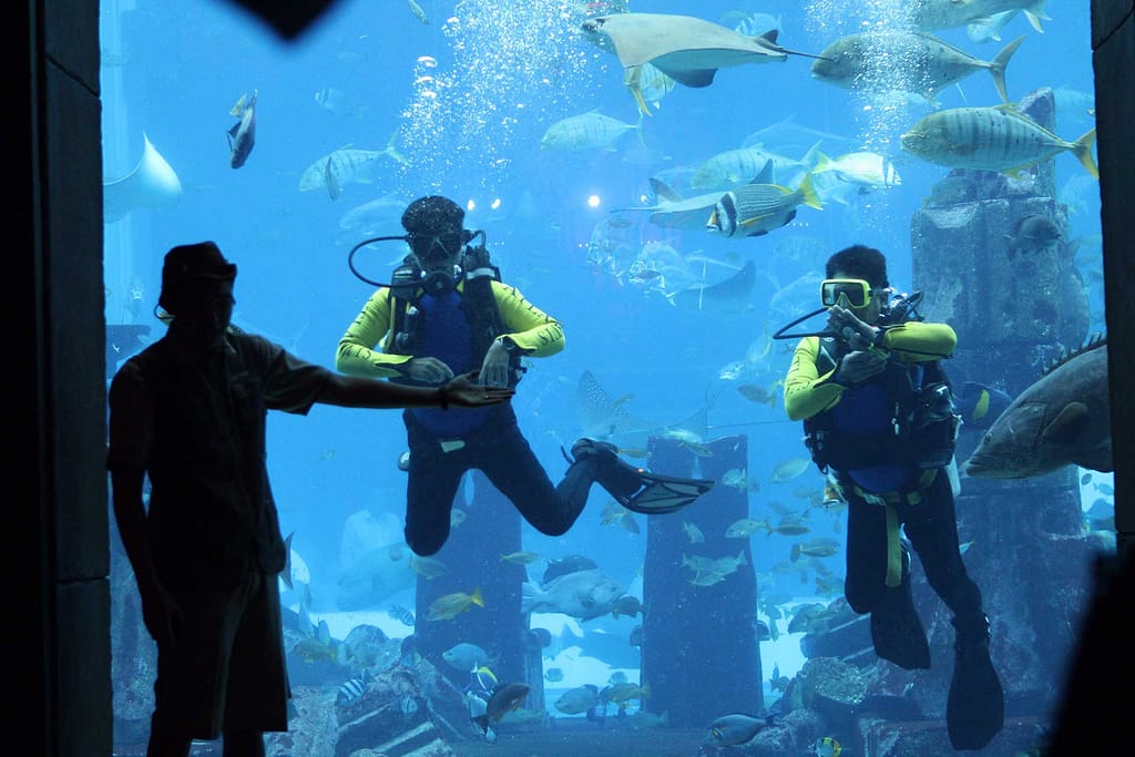 Lost Treasures Aquarium - Atlantis - The Palm